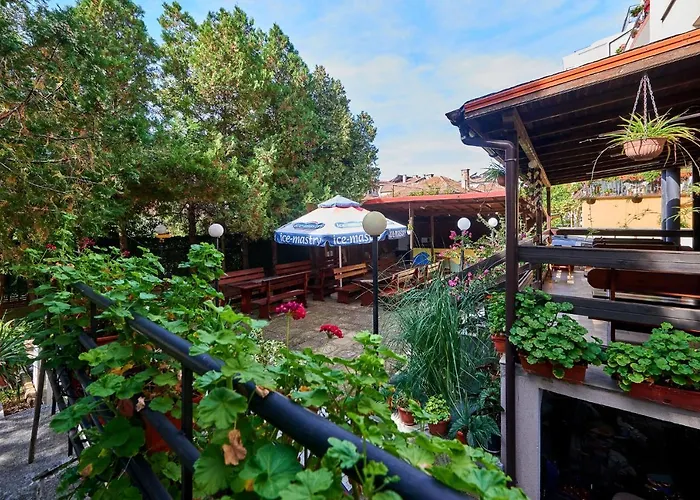 Koral 2* プリモルスコ